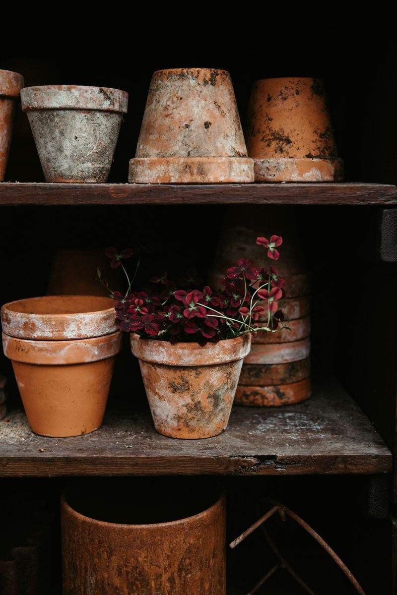 Les gestes essentiels pour entretenir son jardin au printemps