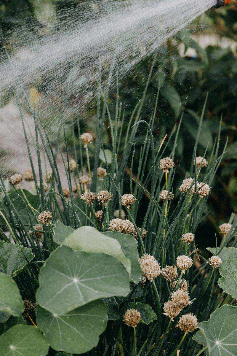 Jardins Harmonie Provence 14