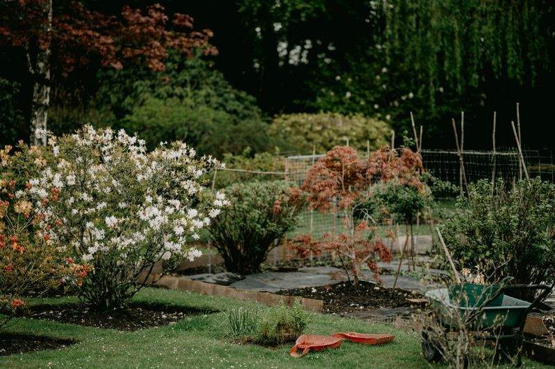 Jardins Harmonie Provence